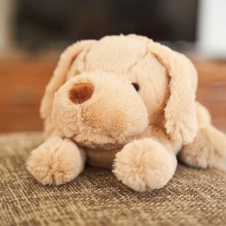 Bouillotte Chien Labrador| Pelucho