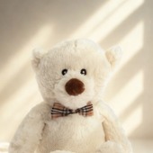 Alors, le verdict est tombé, qui a reçu un câlin chauffant pour la Saint-Valentin ? 🐻❤

Notre adorable Tim n'attend qu'à être adopté, rendez-vous sur notre site pour le découvrir
🌐 www.pelucho.fr