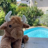 Alerte astuce anti-stress ! 😱
Vous partez prochainement en vacances et avez la phobie de l'avion, du train ou êtes angoissé par les longs trajets ? ✈

Nos Pelucho bouillottes sont vos compagnons de voyage parfaits pour apaiser votre anxiété et vos angoisses, grâce à leur douce odeur de lavande 💜

L'odeur douce et florale de la lavande possède des propriétés anxiolytiques naturelles en agissant sur le cerveau à plusieurs niveaux.

Rendez-vous sur notre site internet : www.pelucho.fr pour les découvrir !

#pelucho #peluchobouillotte #aromathérapie #lavance #odeur #bienfait #endormissement #anxiete #peluches #bouillotte #bouillottesseches #mignon #cute