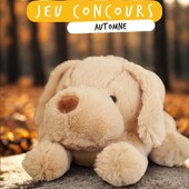 🍂 JEU CONCOURS TERMINÉ spécial AUTOMNE 🍁
Tentez de remporter le PELUCHO de votre choix 🎁
⠀⠀
Pour participer, c'est très simple :
→ Liker cette publication
→ Être abonné.e à notre compte Instagram
→ Commenter en taguant 2 de vos ami.e.s

🍀 BONUS : Doublez vos chances en nous taguant en story 😉

Fin du concours dimanche 23 novembre à minuit, tirage au sort le lendemain ! ✅

Le tirage au sort sera effectué parmi tous les commentaires FB et IG !

Bonne chance à toutes et à tous 🎉

#jeuconcours #concours #peluchobouillottes #automne #jeu #peluche #bouillotte