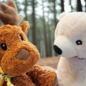 Devinez le sujet de conversation de nos deux Pelucho ?
🔸 Leur prochaine destination pour les vacances d'hiver ❄
🔸 L'arrivée du printemps 🌼
🔸 L'arrivée d'un nouveau Pelucho 🧸