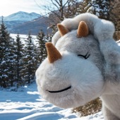 Photo de vacances au ski pour notre adorable Tricératops ❄
➡ Quelle est votre destination pour les vacances d'hiver ?

#pelucho