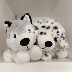 Hugo le husky et Igloo le dalmatien sont trop mignons... 🥺
Lequel des deux préférez-vous ? 😊

#pelucho #naturopathie #mignon #douceur #santé #resterauchaud #prendresoindesoi #bienetre #douleurs #ideecadeau #chien