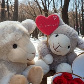 Février est arrivé, et avec lui, le mois le plus doux de l'année avec la Saint-Valentin 🌹

Chez Pelucho, on pense que la plus belle preuve d’amour, c’est de ne pas laisser l’autre avoir les pieds froids 🤣

➡ Et pour vous ? Quelle est la plus belle preuve d'amour ? 😏