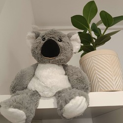 Koko le koala pose à côté de sa nouvelle plante ! On espère qu'il ne va pas la manger cette fois... 🥲😆

#pelucho #koala #bouillotte #chaleur #reconfort #naturopathie #bienetre #naturopathie #douceur #douleurs