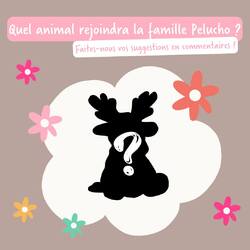 La famille Pelucho va s'agrandir, et nous avons besoin de vous 😁
Nous aimerions savoir quel animal vous voudriez voir chez Pelucho ? 🧐
Faites-nous vos suggestions dans les commentaires 😜