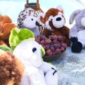 Lundi - 12H30, une nappe, du soleil, du raisin 🍇 ... et des Pelucho !
Tout est prêt pour un pique-nique parfait !

Chaude ou froide, nos Pelucho bouillottes sont indispensables pour soulager vos maux, même en plein été.

Et vous ? Où emmenez-vous la vôtre cette semaine ?

#tourdecou #douleursmusculaires #douleursmenstruelles #naturopathie #peluchebouillotte #été #fun #pelucho #bouillotte #bouillottesseches