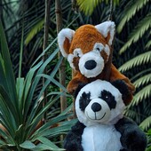 C'est parti pour des vacances bien méritées pour nos deux petits Pelucho bouillottes, Joe le panda et Roxy le renard 🧡

➡ Et vous ? Oû partez-vous cet été ? ☀

#pelucho #peluchobouillotte #vacances #été #momentdouceur #chaleur  #toutdoux #bouillotteseche #douceur #mignons #cute