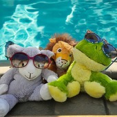 Jamais trop chaud pour nos 3 petits Pelucho, Nuage le mouton gris, Léo le lien et Froguy la grenouille 😎

Profitez d'un moment de détente rafraichissante grâce à nos Pelucho glacés ❄

🕑 2H dans un sac au congélateur et le tour est joué !

➡ Et vous ? Plutôt Pelucho tout chaud ou Pelucho glacé ?

#pelucho #peluchobouillotte #bouillottes #peluchesbouillottes #bouillottesseches #été #bienetre #bienetreaunaturel #détente #chaud #froid #canicule