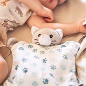 Parce que bébé mérite ce qu'il y a de plus naturel, découvrez nos bouillottes spéciales bébé 👶
Celles-ci sont garnies de :
✅ Blé récolté dans nos régions : pour une restitution de chaleur ultra-douce et sécurisée 🇫🇷
✅ Lavande de Provence : pour ses vertus apaisantes et relaxantes naturelles 🌿

Leur taille et leur poids sont parfaitement étudiés pour être posés sur le ventre des tout-petits, soulageant ainsi les tensions tout en offrant une présence réconfortante.

Offrez à votre enfant le réconfort d'un savoir-faire local ❤️
www.pelucho.fr

#pelucho