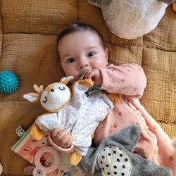 Les bouillottes bébés peuvent soulager les maux quotidiens de votre petit bout de chou 💓

Ces Pelucho, comme tous nos produits, sont assemblés en France avec des produits de qualité qui assurent tendresse et sécurité à votre nourrisson 🙂
Les grains de blé et l'odeur de lavande apaiseront les maux de bébé et l'aideront à faire des nuits paisibles et réconfortantes 🌸

En plus d'être chauffées, les bouillottes peuvent aussi être placées au réfrigérateur quelques heures pour apporter un peu de fraîcheur ! 😎

#viedemaman #toutpourmonbebe #cadeaunaissance #mumlife #couture #assembleenfrance #ideecadeaubebe #fraicheur #bouillottes