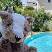 Photo de vacances de notre Pelucho chamois dans le sud de la France à Montpellier 📸

Et vous ? Dans quel département passez-vous vos vacances ? 📍

#pelucho #peluchobouillotte #vacances #peluches #bouillotte #bouillottesseches #ideecadeau #enfants #peluche #peluchebouillotte #mignon #cute #chamois