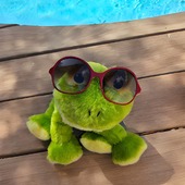 Qui se souvient du prénom de notre petite grenouille ? 🐸

#pelucho #peluchobouillotte #grenouille #devinette #peluchofamily #bouillottepeluche #bouillotteseche #animaux #douceur #ideecadeau