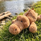 Farniente au bord de la rivière pour notre adorable crocodile beige, Basile ☀

Cet été, grâce à nos petits Pelucho, profitez d'un moment de détente au frais :
Pour cela rien de plus simple :
🔹 Placez votre Pelucho dans un sac de congélation.
🔹 Laissez-le refroidir pendant 1H au réfrigérateur.
➡ Profitez d'un moment de détente intense !

Avez-vous déjà testé nos Pelucho bouillottes glacées ? ❄